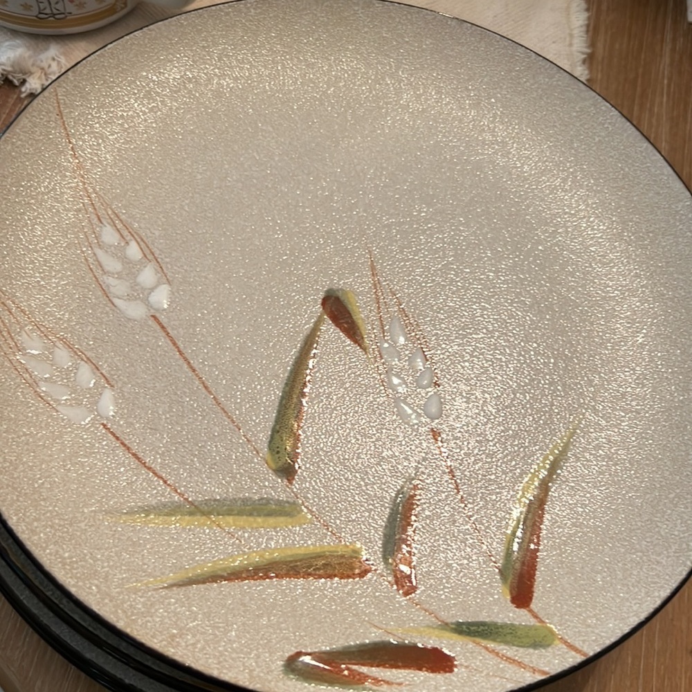 Vintage Ucagco Stoneware Dinner Plates.
